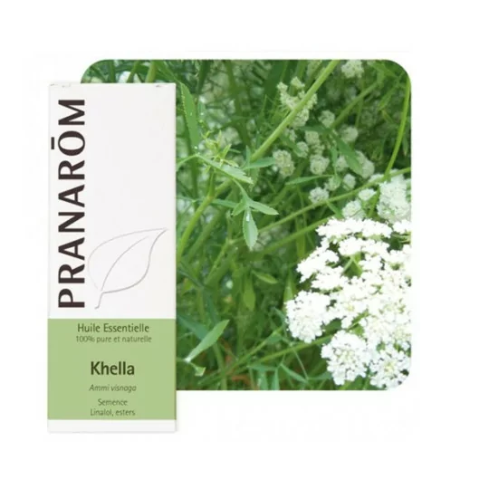 Pranarom Huile Essentielle Khella 5ml