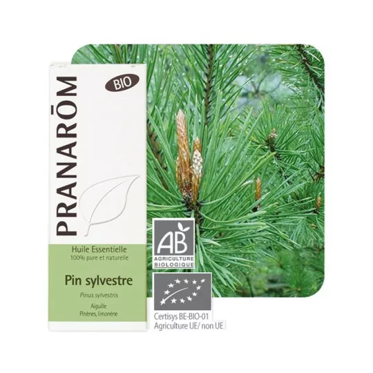 Prânarom Huile essentielle Pin Sylvestre Bio 10ml