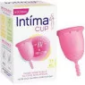 Intima Cup T1 Normal