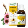 Herbalgem Propolis Junior Gouttes flacon de 15ml