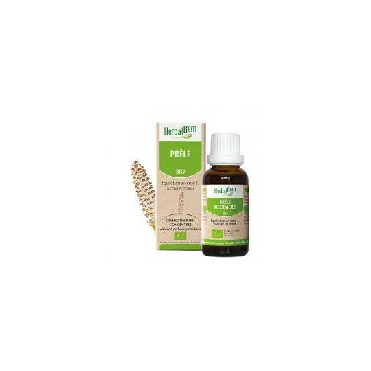 Herbalgem Macerat Prêle Bio Flacon de 30ml