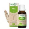 Herbalgem Macerat Prêle Bio Flacon de 30ml