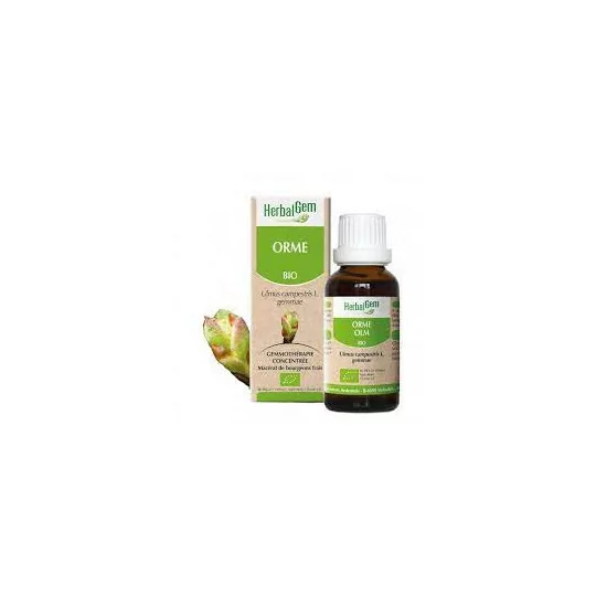 Herbalgem Macérat Orme Bio Flacon de 30ml