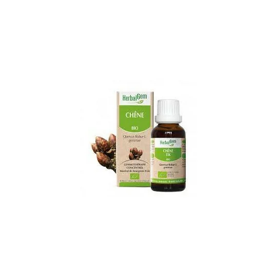 Herbalgem Macérat Chêne Bio Flacon de 30ml