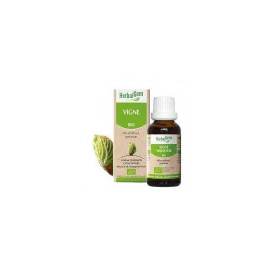 Herbalgem Macérat Vigne Bio Flacon de 30ml