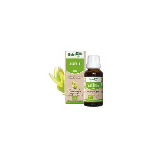 Herbalgem Macérat Airelle Bio Flacon de 30ml