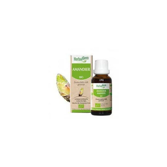 Herbalgem Macérat Amandier Bio Flacon de 30ml