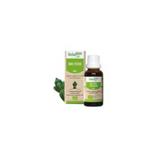 Herbalgem Macérat Mères Concentrés Bruyère flacon de 30ml