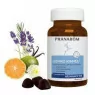 Pranarom aromanotis gummies sommeil