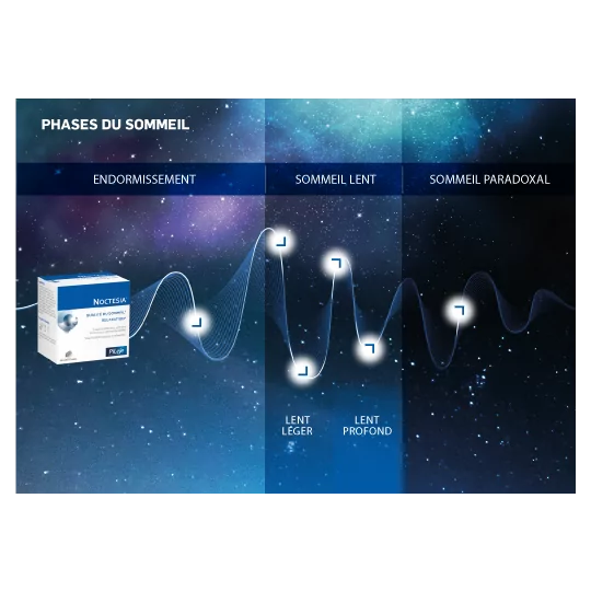 Pileje Noctesia 90 Comprimés