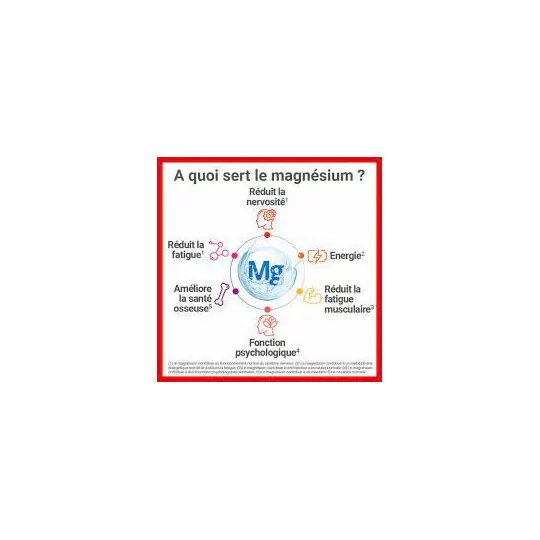 MAG 2 SOMMEIL LOT 2