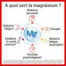 MAG 2 SOMMEIL LOT 2