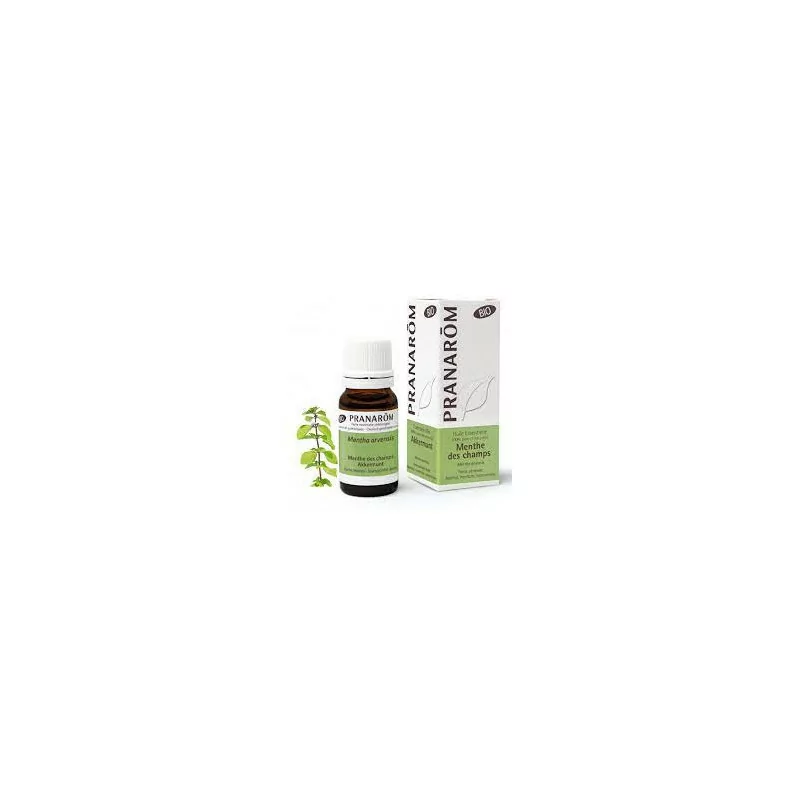 Prânarom Huile Essentielle Menthe Champs 10ml