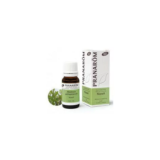 Pranarôm Niaouli Bio Huile Essentielle Melaleuca quinquenervia Feuille HECT 10 ml