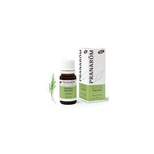 Pranarom Huile Essentielle Bio Tea-tree