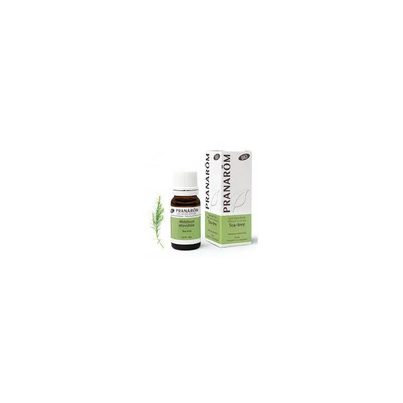 Pranarom Huile Essentielle Bio Tea-tree