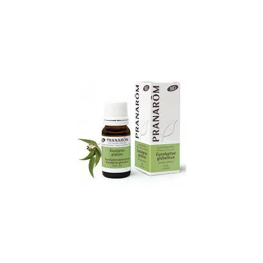 Pranarom Huile Essentielle Bio Eucalyptus Globuleux