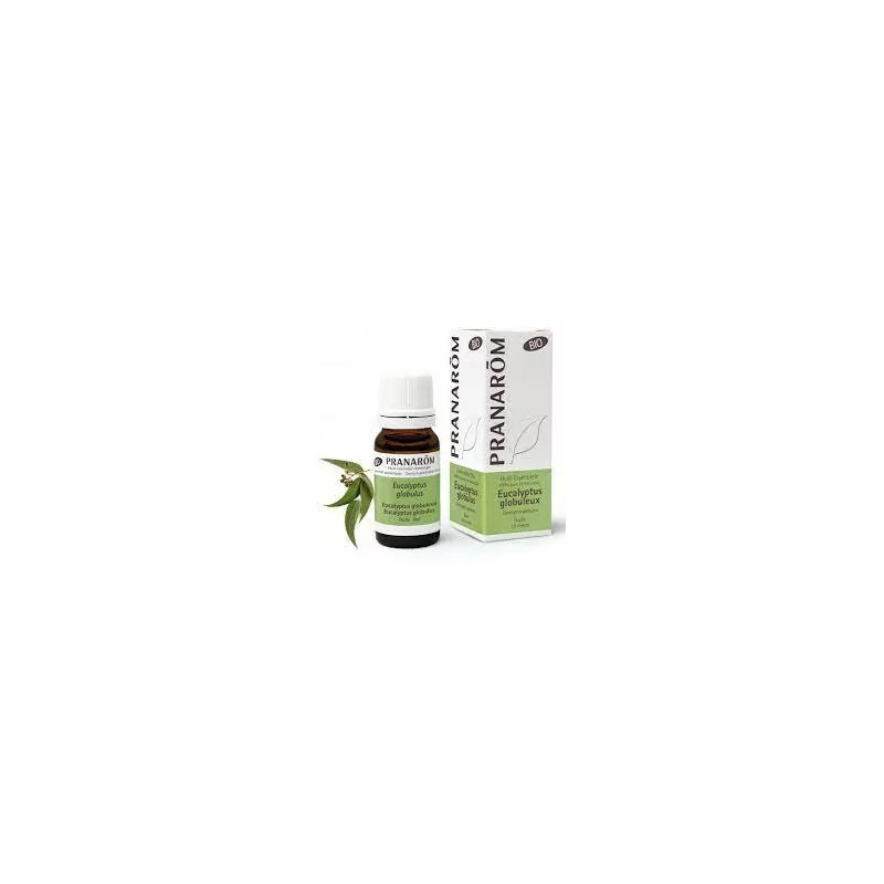 Pranarom Huile Essentielle Bio Eucalyptus Globuleux