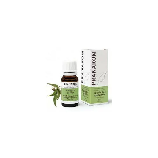 Pranarom Huile Essentielle Eucalyptus Globuleux