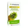 Arkogelules Ananas Tige