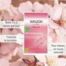 Weleda Tisane Allaitement Fenouil / fruits rouges