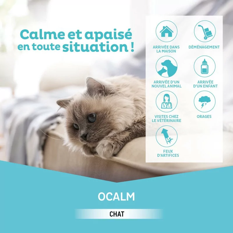 Clément Thékan - ÔCalm - Solution Calmante pour Chat à Diffuser