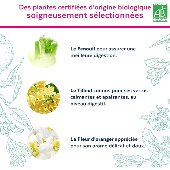 Calmosine - Digestion - Confort Digestif - Apaise et Calme - Bébé - Aux Extraits de Plantes Bio 100 ml