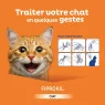 Clément Thékan - Anti-puces et anti-tiques pour chats - 4 pipettes - Fiprokil