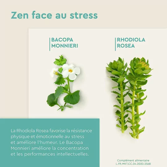 EuphytoseZen Complément Alimentaire, Stress, nervosité, difficultés de concentration, 3 pack de 30 Comprimés