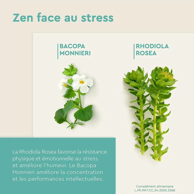 EuphytoseZen Complément Alimentaire, Stress, nervosité, difficultés de concentration, 3 pack de 30 Comprimés