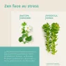 EuphytoseZen Complément Alimentaire, Stress, nervosité, difficultés de concentration, 3 pack de 30 Comprimés