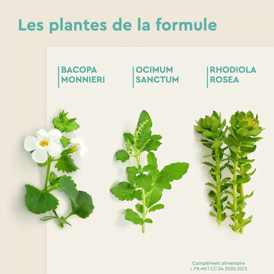 EuphytoseZen Complément Alimentaire, Stress, nervosité, difficultés de concentration, 3 pack de 30 Comprimés